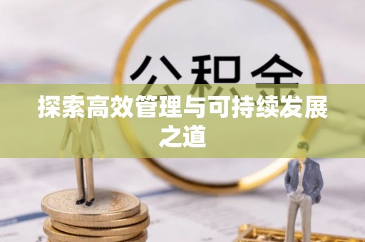 阜宁探索高效管理与可持续发展之道
