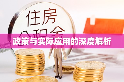 阜宁政策与实际应用的深度解析