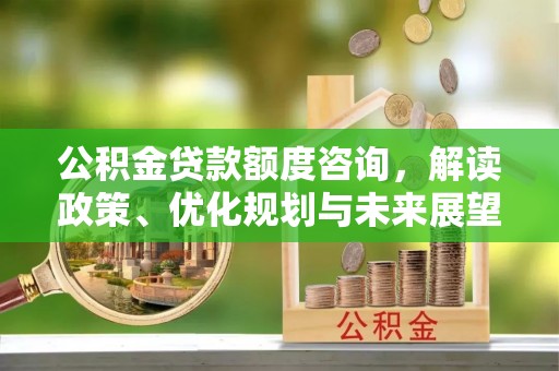 阜宁公积金贷款额度咨询，解读政策、优化规划与未来展望