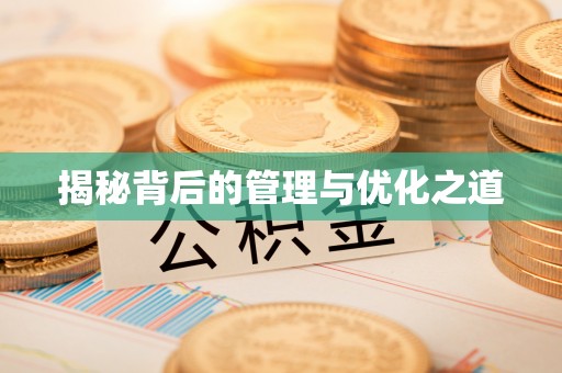 阜宁揭秘背后的管理与优化之道