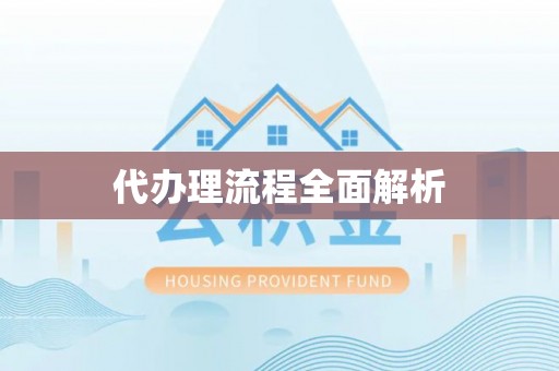 阜宁代办理流程全面解析