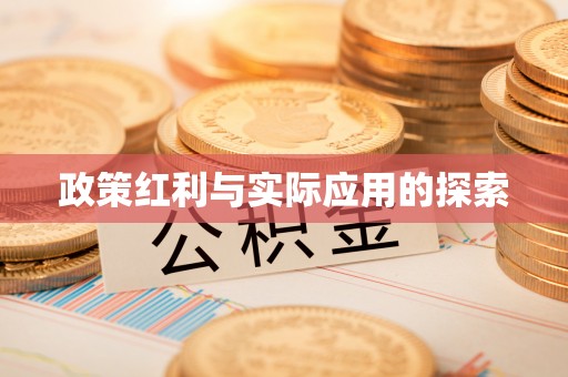 阜宁政策红利与实际应用的探索