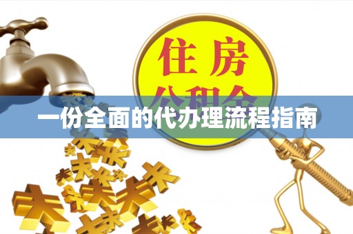 阜宁一份全面的代办理流程指南