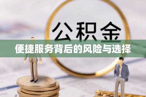 阜宁便捷服务背后的风险与选择