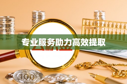 阜宁专业服务助力高效提取