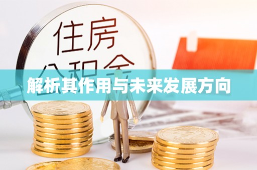阜宁解析其作用与未来发展方向