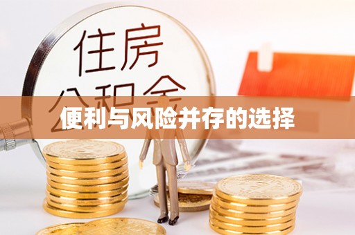阜宁便利与风险并存的选择