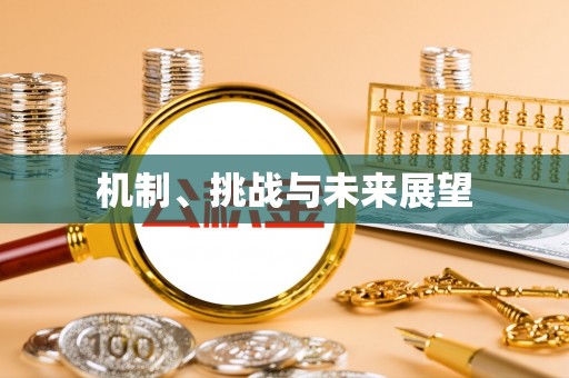 阜宁机制、挑战与未来展望