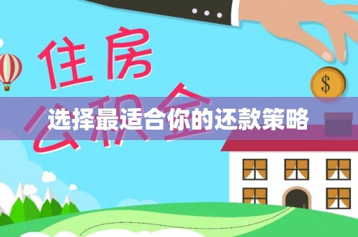 阜宁选择最适合你的还款策略