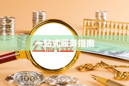 阜宁一站式服务指南