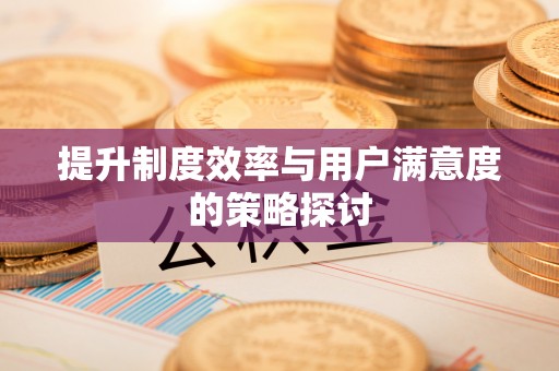 阜宁提升制度效率与用户满意度的策略探讨
