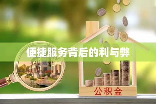 阜宁便捷服务背后的利与弊