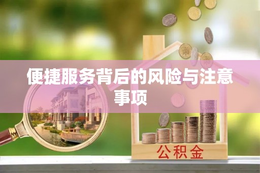 阜宁便捷服务背后的风险与注意事项