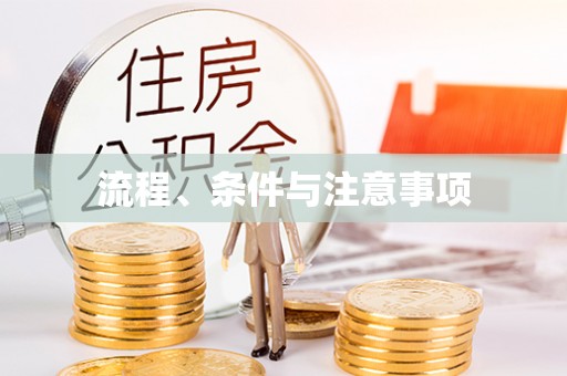 阜宁流程、条件与注意事项