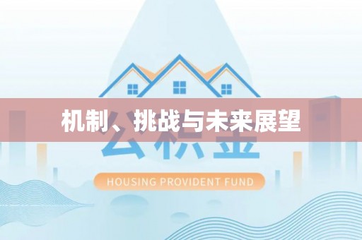 阜宁机制、挑战与未来展望